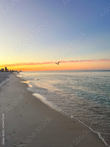 Wallpaper Mural seagull on the coast at sunset Torontodigital.ca