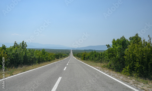 Straight asphalt road, driver view. Driving a car in nature. 