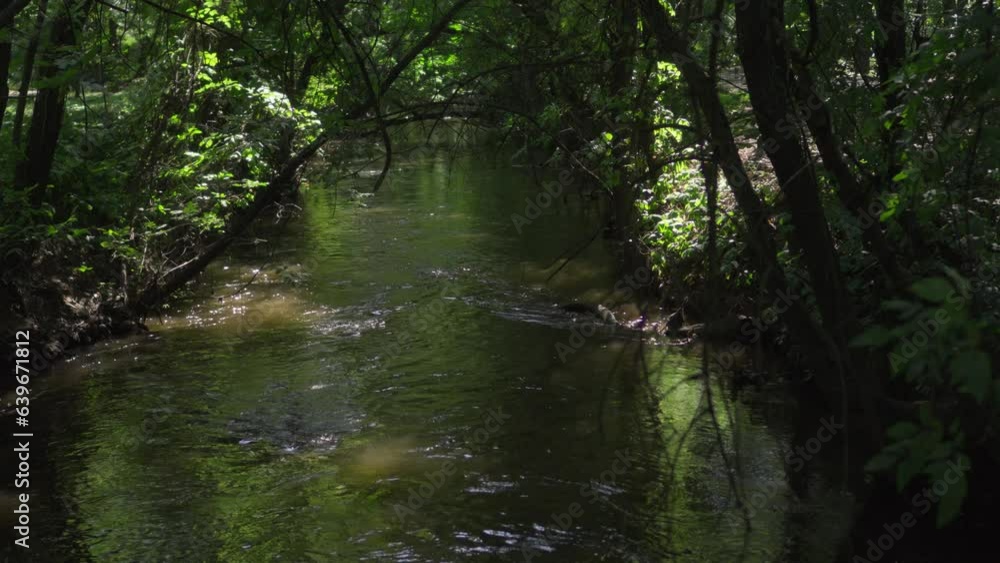 Calm stream of river flowing through thicket. Calm stream of river flowing through thicket.