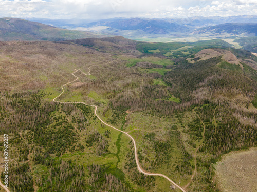 National Forest Logging Roads, Mineral County, Colorado