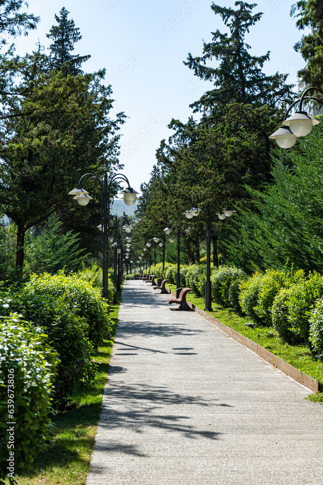 Fototapeta premium Path in Vake Park in Tbilisi