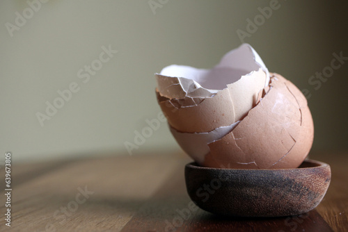 guscio di uovo di gallina photo