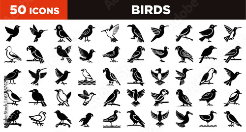 Photography birds icons set