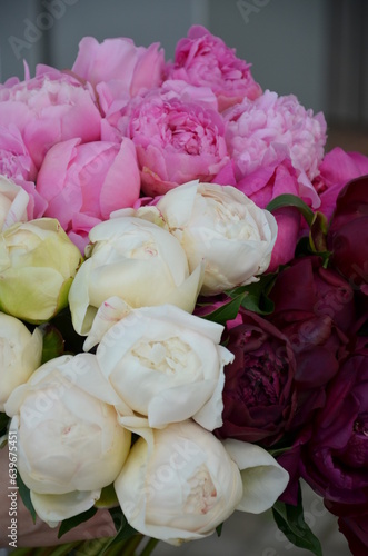 Large bouquet of colorful peonies