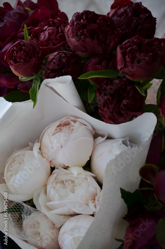 Burgundy and white peonies in paper wrap