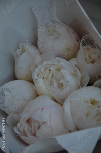 White peonies in mesh and paper wrap