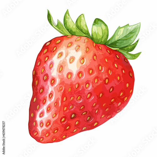 watercolor illustration of ripe strawberry