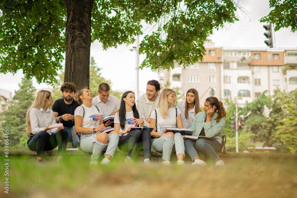 Obraz premium Young group of students