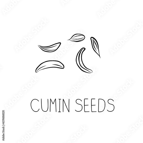 Sketch Cumin Seeds Simple Vector Illustration in Doodle Style