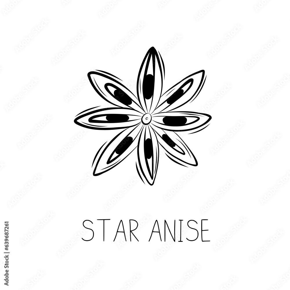 Sketch Star Anise Simple Vector Illustration in Doodle Style Sketch Star Anise Simple Vector Illustration in Doodle Style