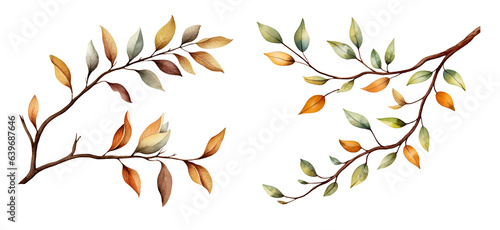 Leaf branch watercolor clipart illustration with isolated background