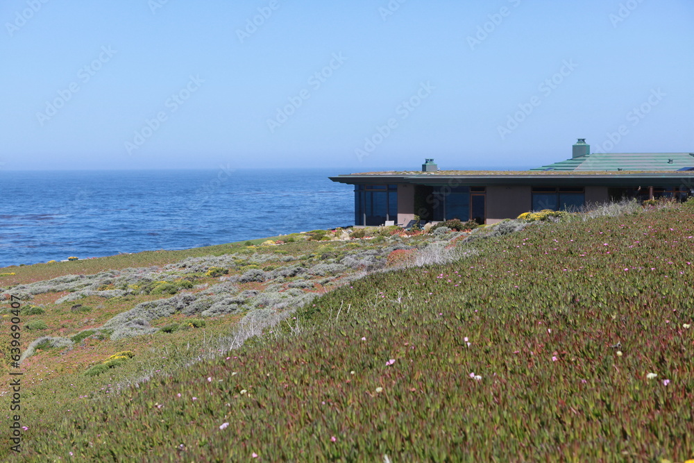 ocean view cabin on pacific coastal