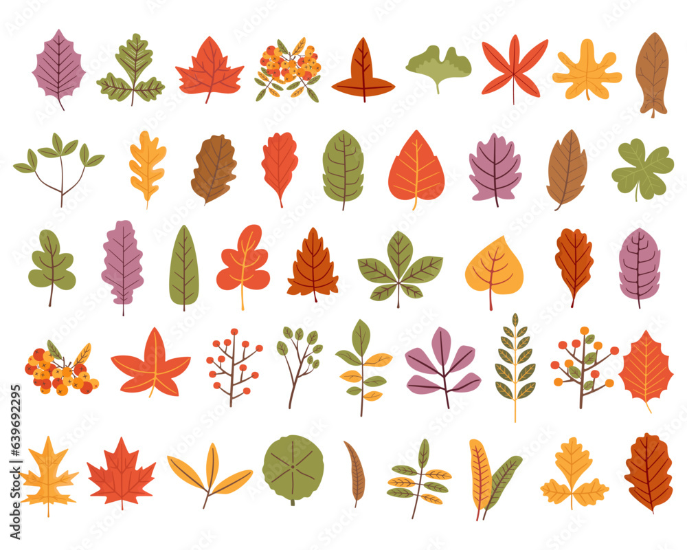 Autumn leaves set, cute isolated on white background. Simple cartoon flat style. Stock vector illustration. Fall leaves designs Autumn leaves set, cute isolated on white background. Simple cartoon flat style. Stock vector illustration. Fall leaves designs