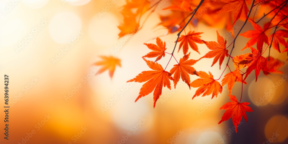 Colorful maple leaves in autumn sunny day, focus in foreground leaves, blurred bokeh background. Colorful maple leaves in autumn sunny day, focus in foreground leaves, blurred bokeh background.