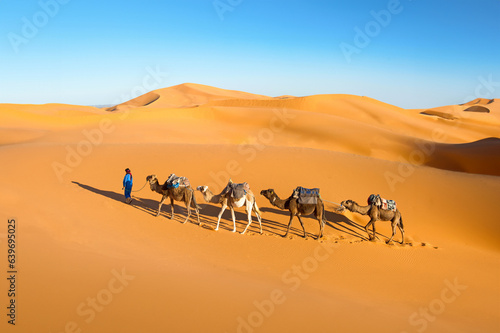 Camel caravan going through the sand dunes in the Sahara desert, Marocco. Camel in desert concept. © Andrii Vergeles