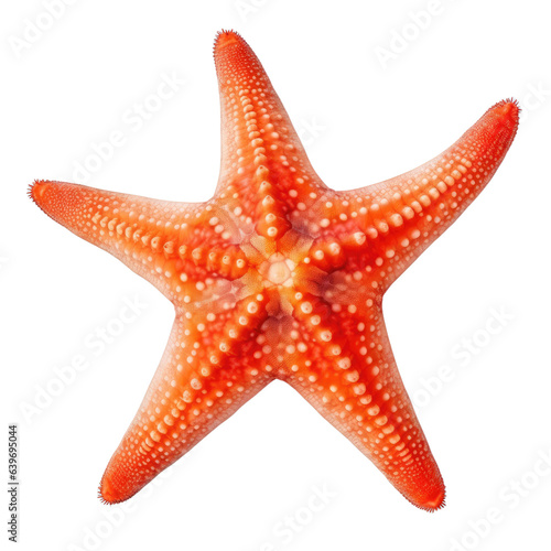 Starfish isolated on transparent background.