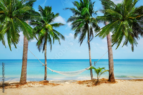 Hammock between two coconut trees on a tropical island with beautiful beach © Andrii Vergeles