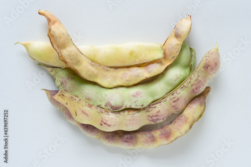 pod husks of Phaseolus vulgaris var. macrocarpus or Romano-like beans photo