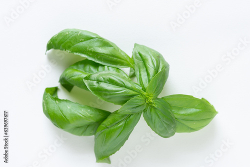cluster leaves of culinary basil or Ocimum basilicum isolated on paper