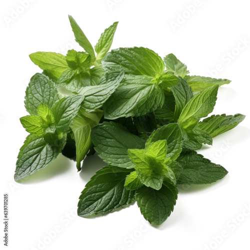 Stevia leaves isolated on transparent background with shadow. Generative AI