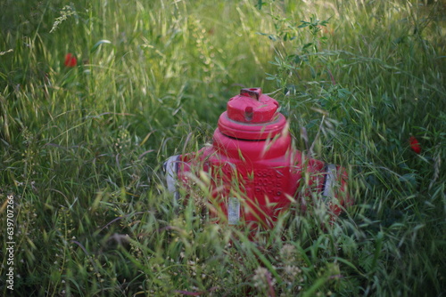 red fire hydrant in grass