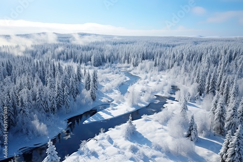 An aerial landscape of winter river in snowy forest © Maria Tatic