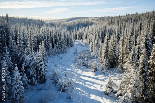 An aerial landscape of winter in snowy forest