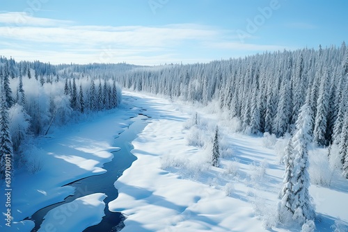 An aerial landscape of winter river in snowy forest © Maria Tatic