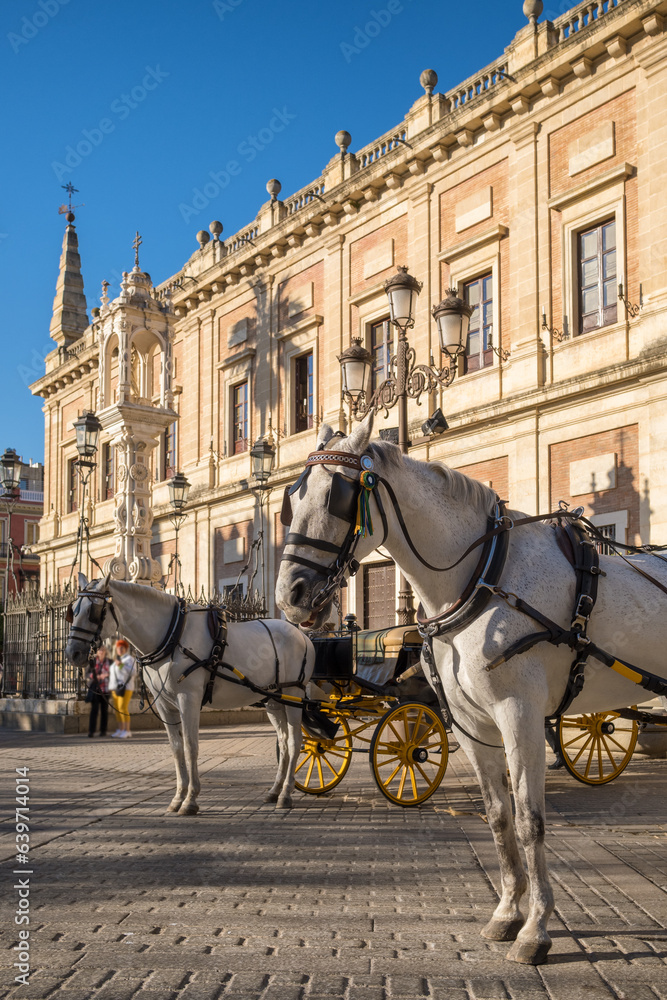 Horse carriage in Seville near ther Giralda cathedral, Andalusia, Spain