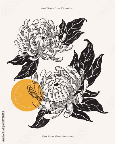Billede på lærred Two opened buds of white chrysanthemum on a light background