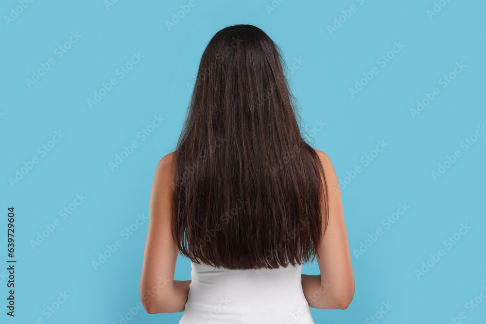Woman with damaged messy hair on light blue background, back view Woman with damaged messy hair on light blue background, back view