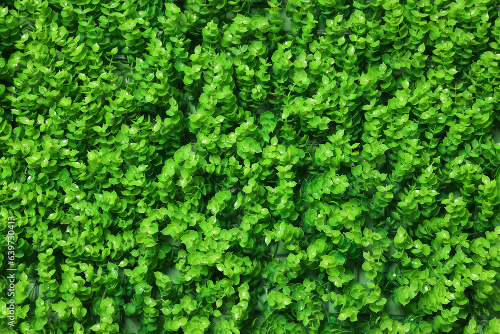 Green artificial plants as background, closeup view Green artificial plants as background, closeup view