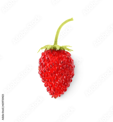 One ripe wild strawberry isolated on white, top view