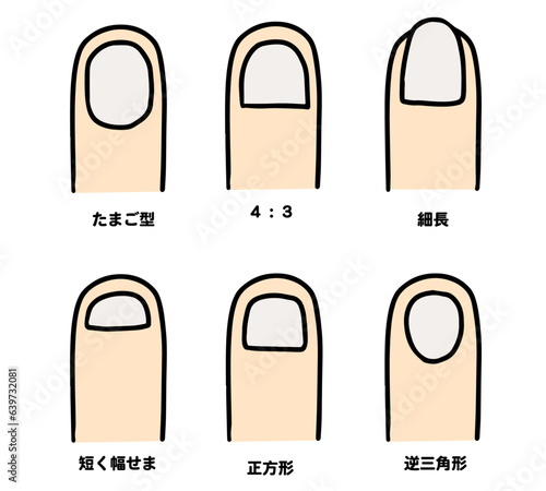 いろいろな形の爪