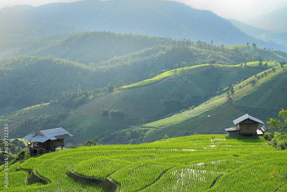 Beautiful scenery of Ban pa pong piang rice terraces. Rice fields on a ...