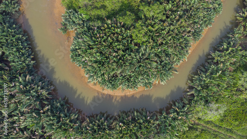 Aerial view of oil palm plantation surrounded by seba small river in south kalimantan, Palm oil industrial area photo