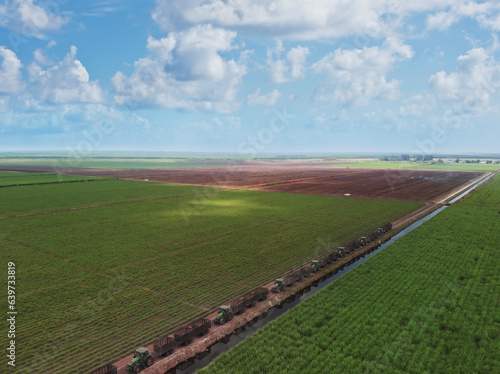 Obraz na płótnie Sugar cane fields with tractors in Florida. Aerial view. w salonie