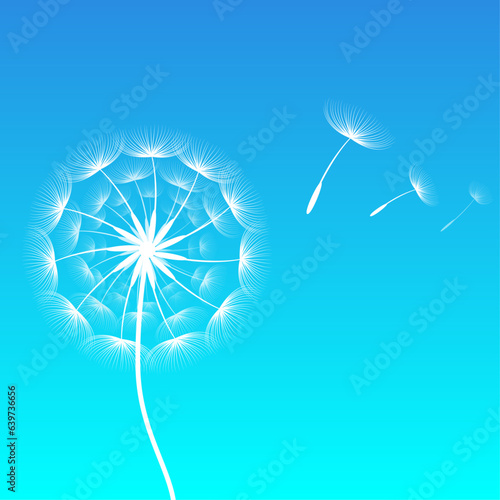 Dente de Leão, Ajinho, Portal, Leve, Estrela