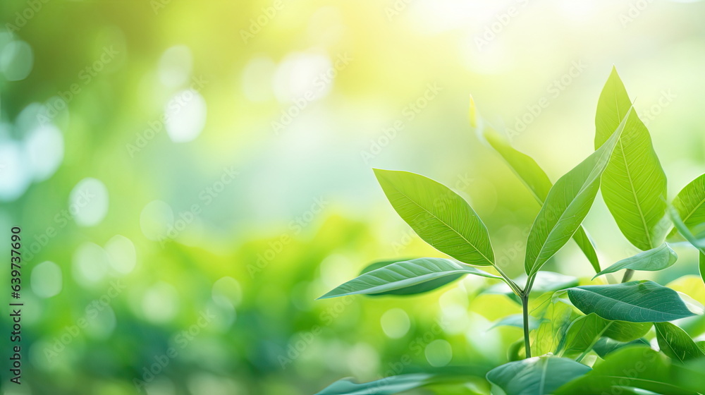 Nature of green leaf, greenery wallpaper Nature of green leaf, greenery wallpaper