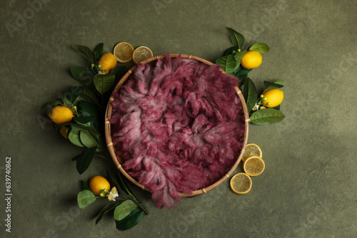 Digital Backdrop for Newborn Photography. Props: Wicker Basket decoratet Lemons on painted green Canvas.