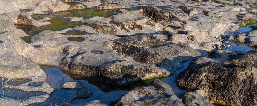 Fototapeta premium Volcanic rock formations at Cape Perpetua in Oregon state, along Pacific coast.