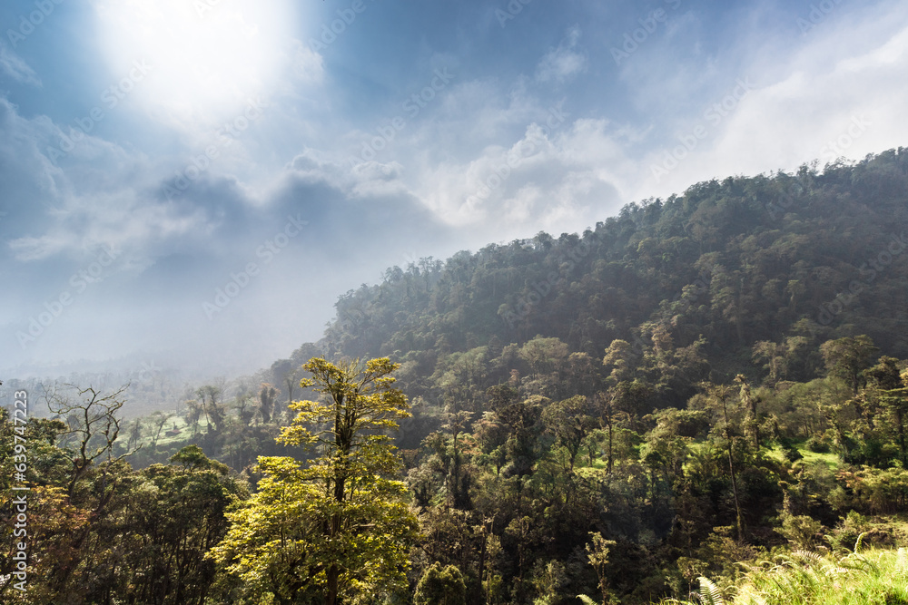 background of vegetation and tropical cloud forest on a cloudy day on the slopes of the Turrialba Volcano