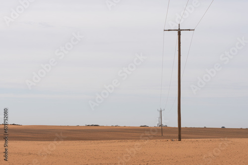 Powerline in the Desert