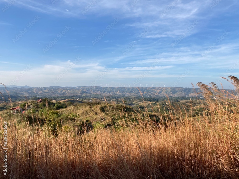 Tropical landscape at Khao Kho mountain Thailand dry leaf plant beautiful grass and sky