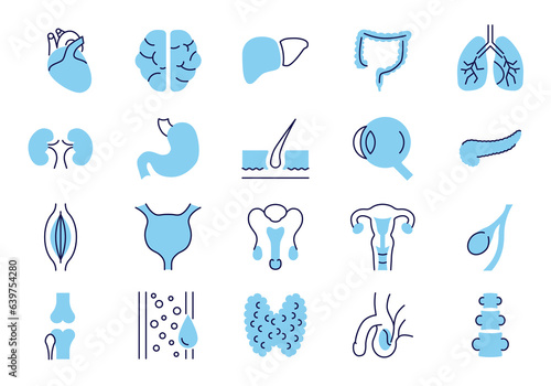 Internal Organs Related Vector Icons Set. Contains such Icons as Reproductive System, Brain, Heart, Blood Vessel, Lungs, Liver, Eye, Pancreas, Urinary, Kidney, Stomach, Spine, Uterus and more