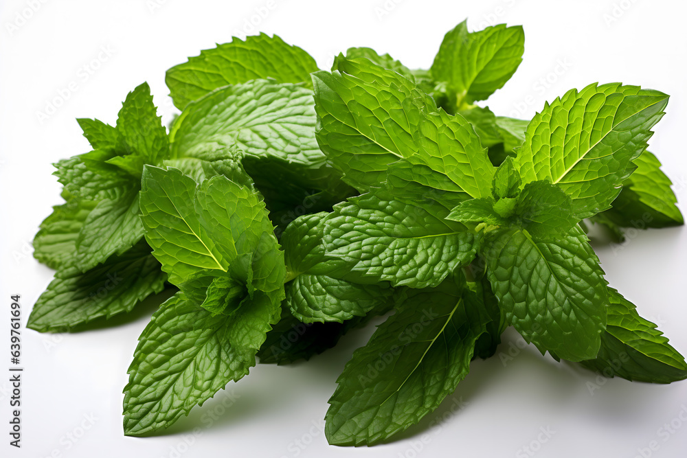 fresh mint fresh mint
