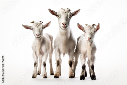 Image of family group of goats on white background. Farm animals. Illustration, Generative AI.
