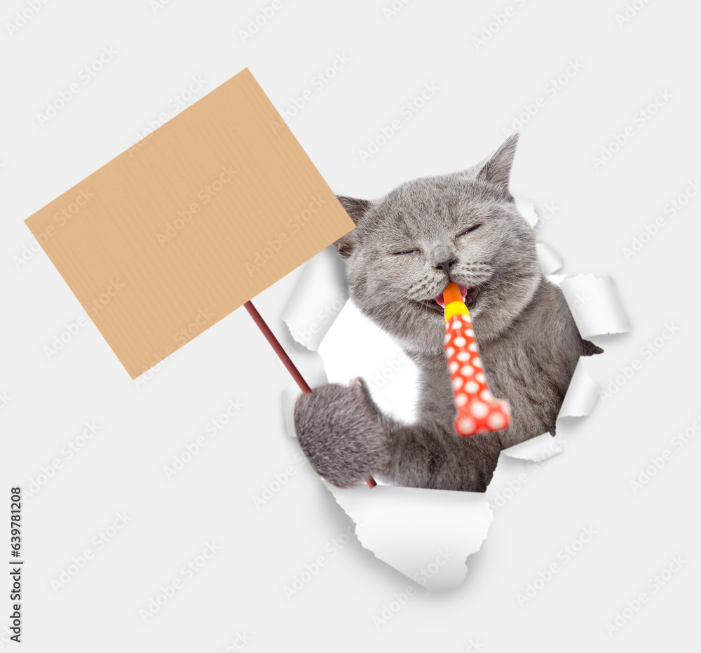 Happy cat looks through the hole in white paper, blows in party horn and shows empty placard