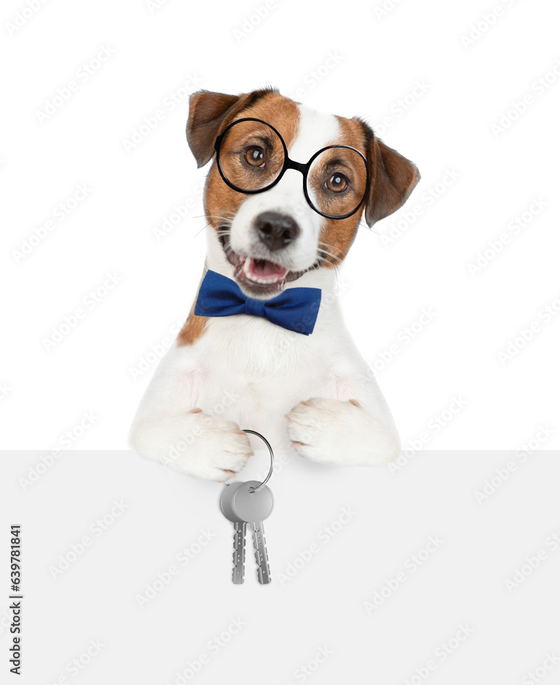Smart Jack russell terrier puppy wearing tie bow and eyeglasses holds in his paw the keys to a new apartment over a blank banner. Isolated on white background Smart Jack russell terrier puppy wearing tie bow and eyeglasses holds in his paw the keys to a new apartment over a blank banner. Isolated on white background