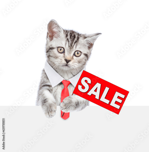 Smart cat wearing necktie looks above empty white banner and holds signboard with labeled "sale" above empty white banner. isolated on white background